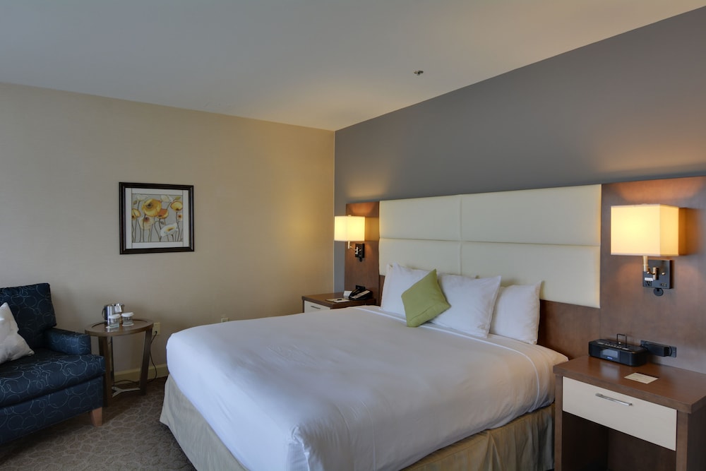 Premium Suite, 1 King Bed with Sofa bed - Photo 2