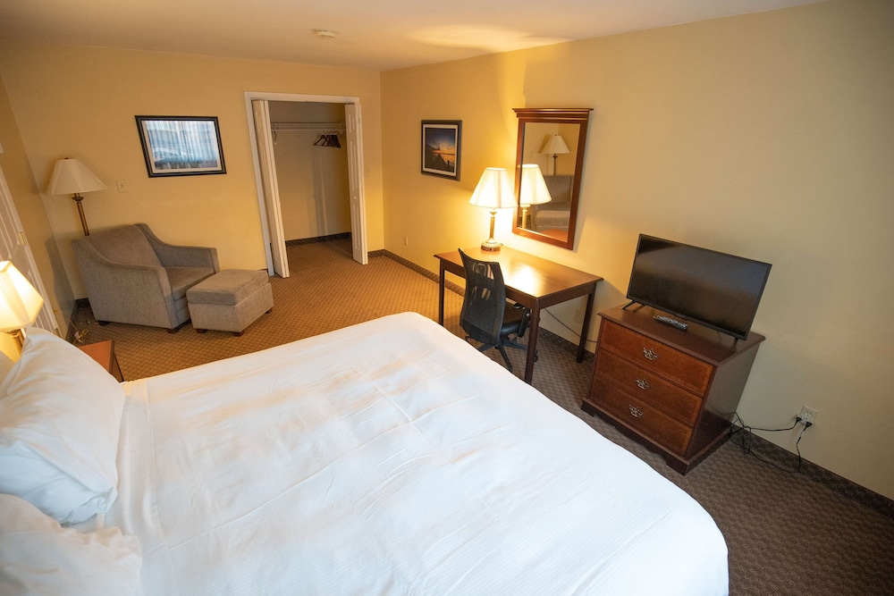 Standard Room, Multiple Beds, Refrigerator, Poolside - Photo 3