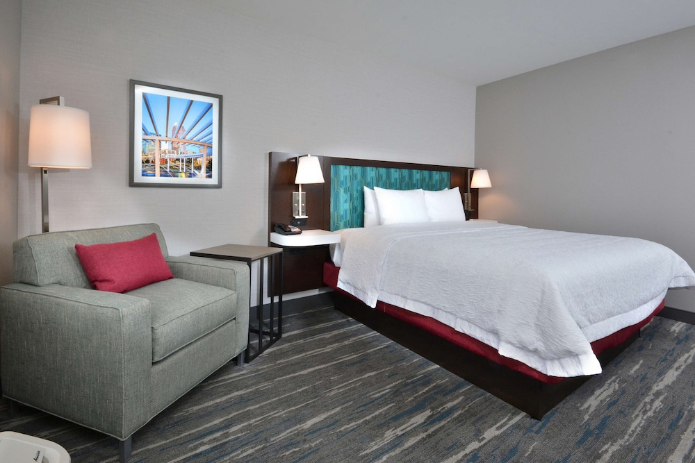 Suite, 1 King Bed, Accessible, Refrigerator & Microwave - Photo 5