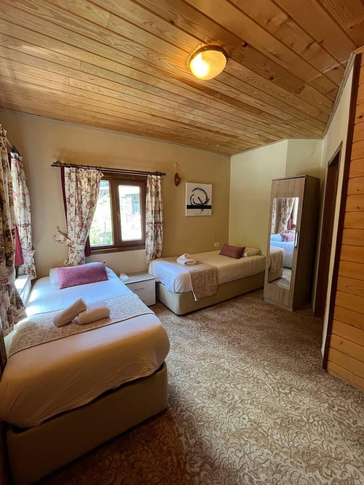 Twin Room, Mountain View photo 3
