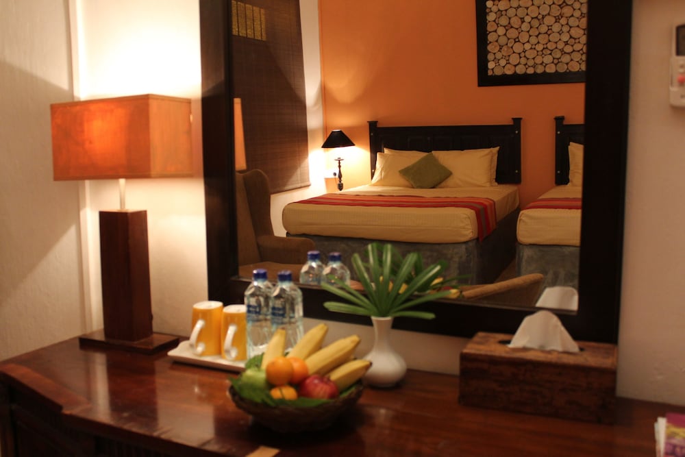 Deluxe Double Room photo 3