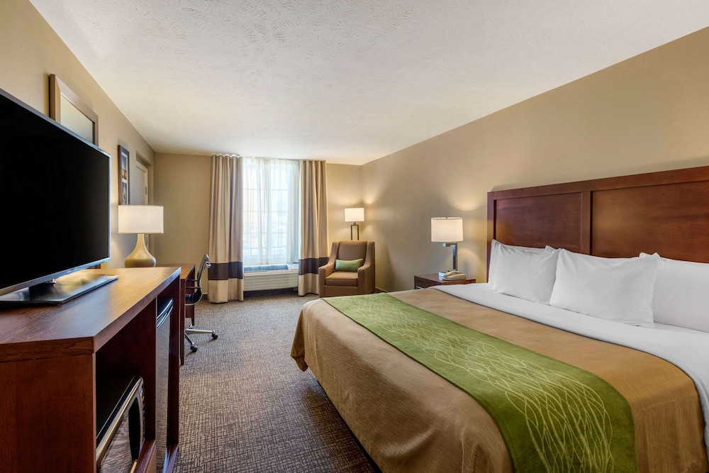 Standard Room, 1 King Bed, Non Smoking - Photo 4
