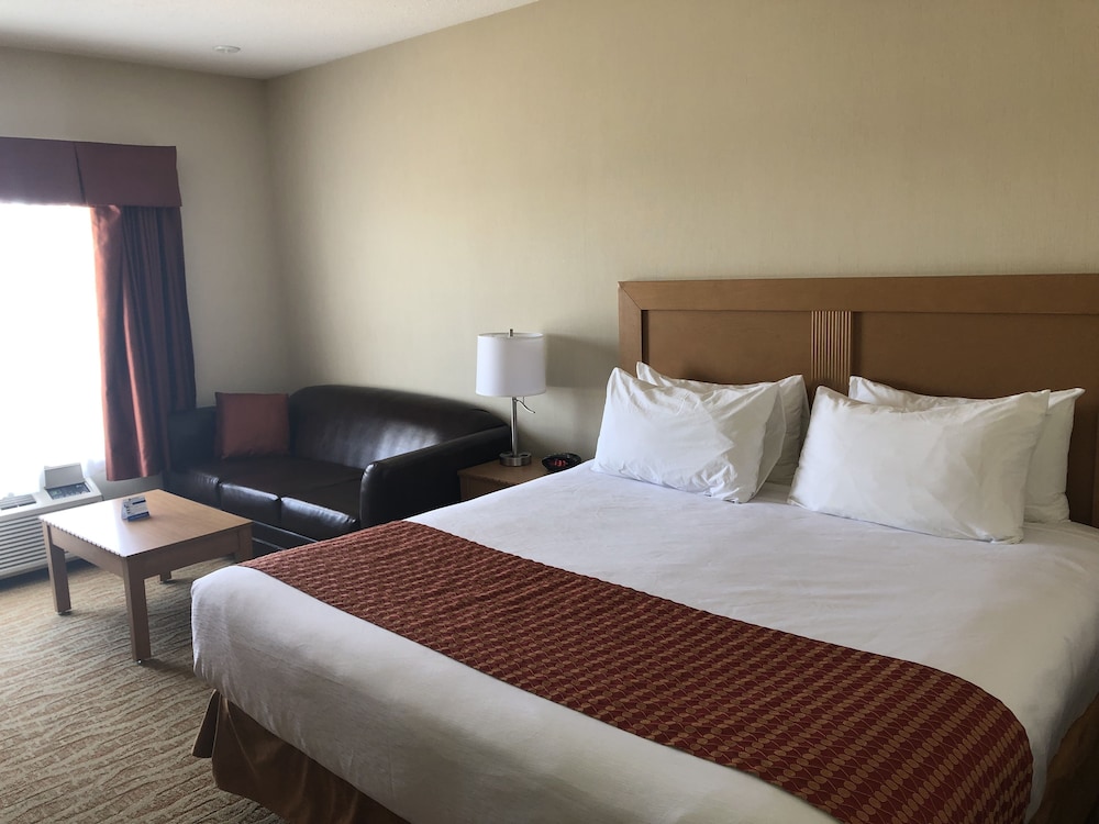 Standard Room, 1 King Bed, Non Smoking, Refrigerator - Photo 3