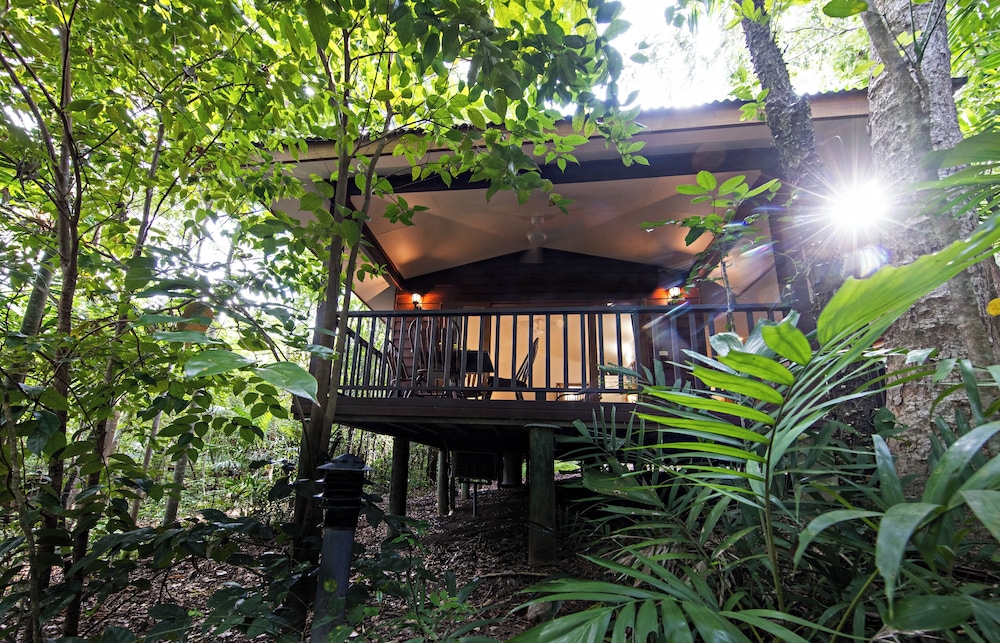 Kingfisher Suite - Photo 4
