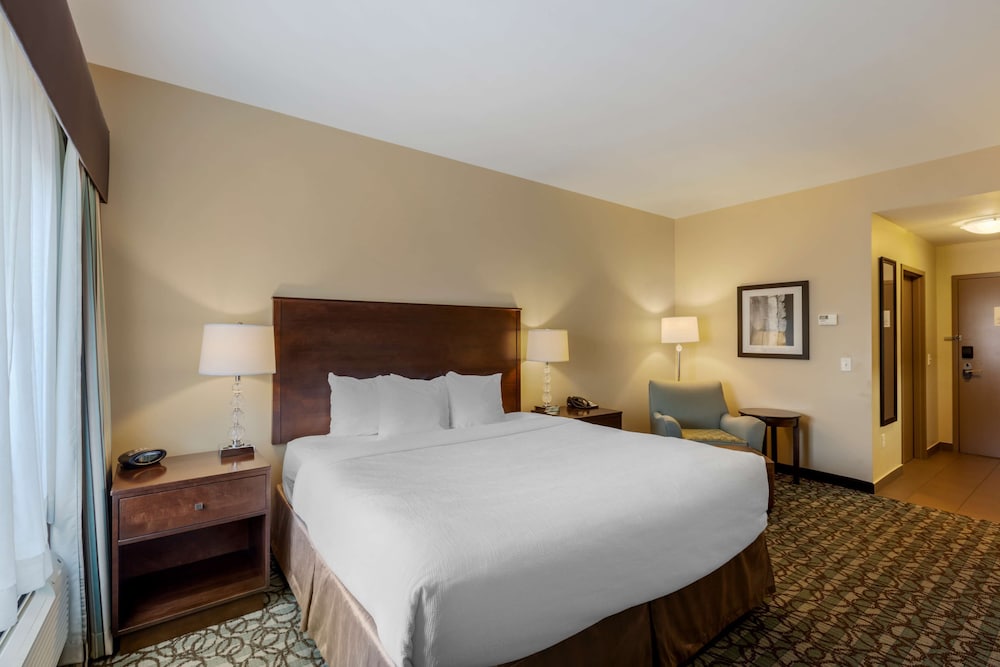 Standard Room, 1 King Bed, Accessible, Refrigerator & Microwave