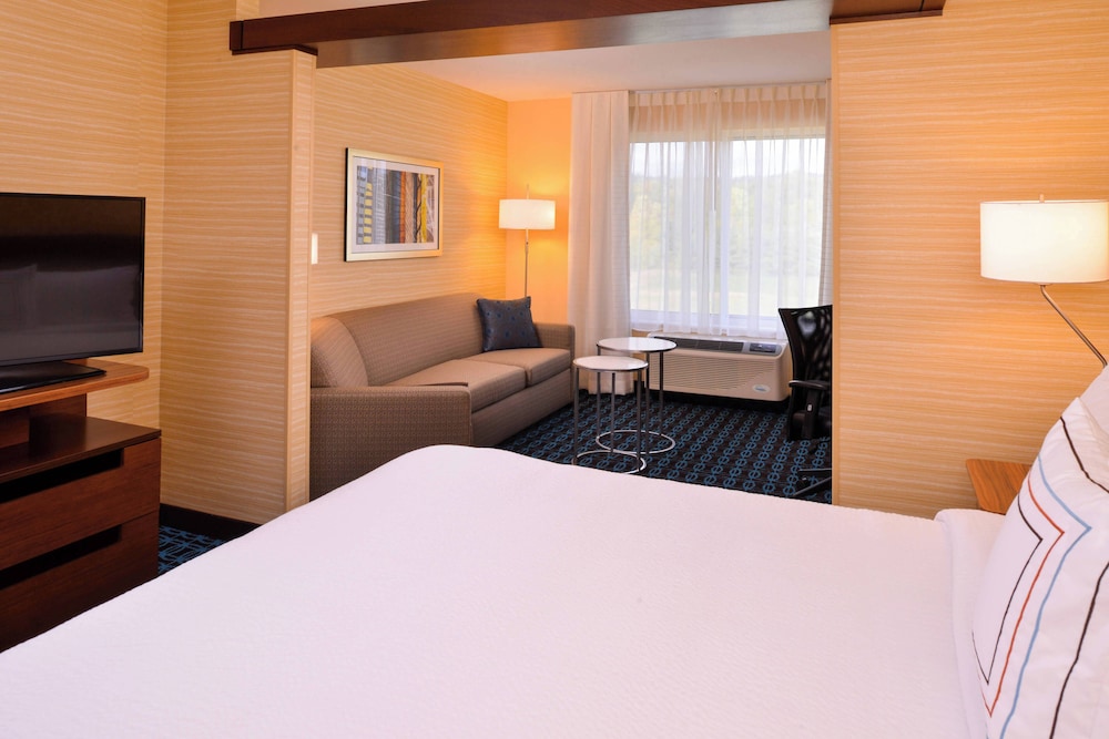 Suite, 1 King Bed with Sofa bed
