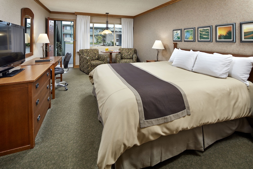 Standard Room, 1 King Bed with Sofa bed