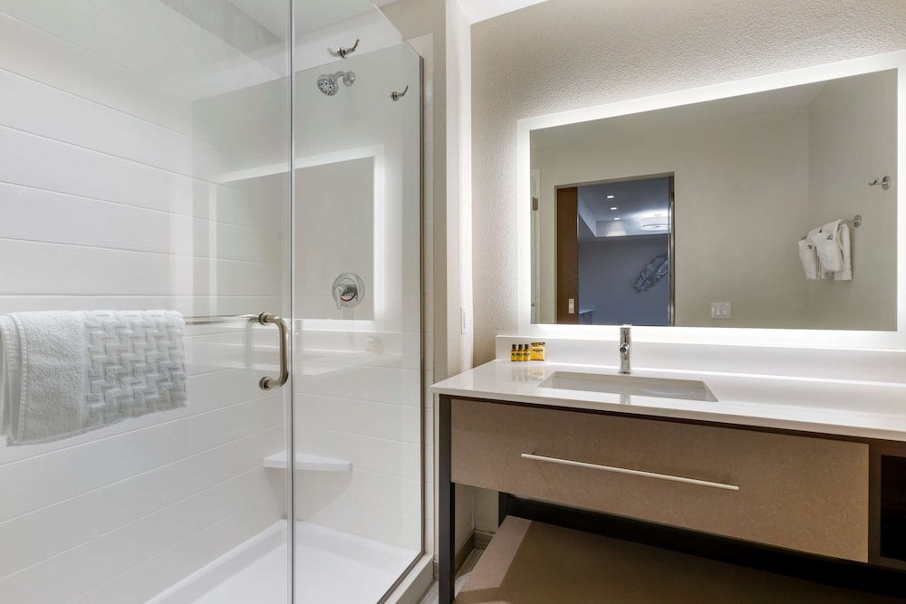 Suite, 1 King Bed, Non Smoking, Kitchenette (with Sofabed) - Photo 6