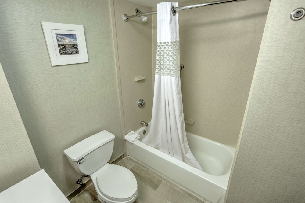 Room, 1 King Bed, Accessible - Photo 4