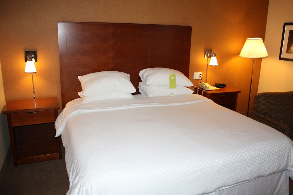 Room, 1 King Bed - Photo 4