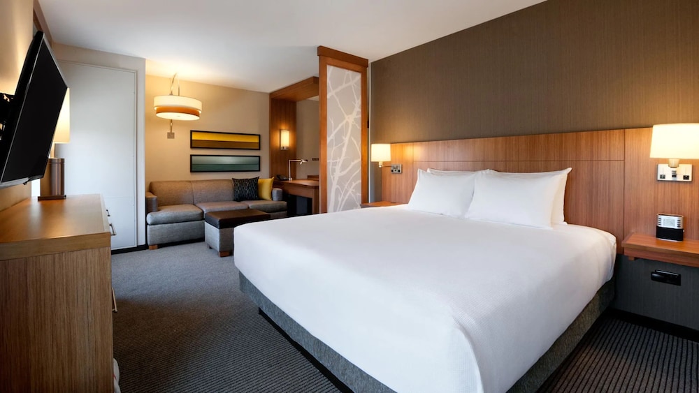 Suite, 1 King Bed with Sofa bed photo 1