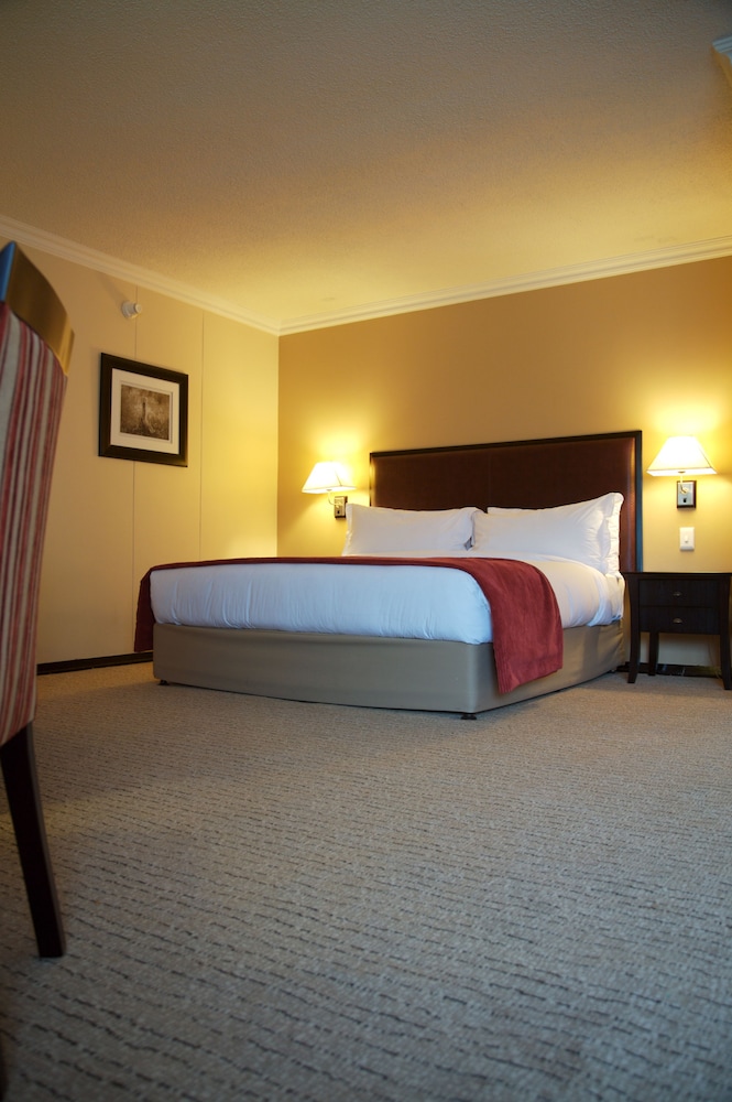 Executive Room photo 2