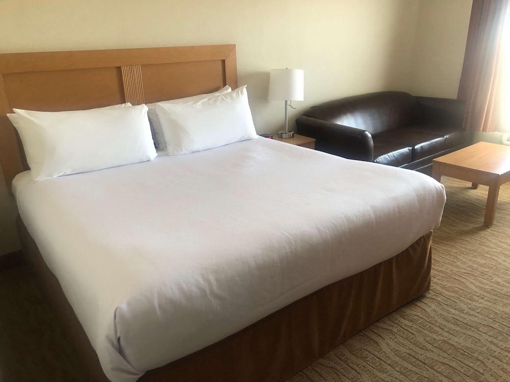 Standard Room, 1 King Bed, Non Smoking, Refrigerator - Photo 6