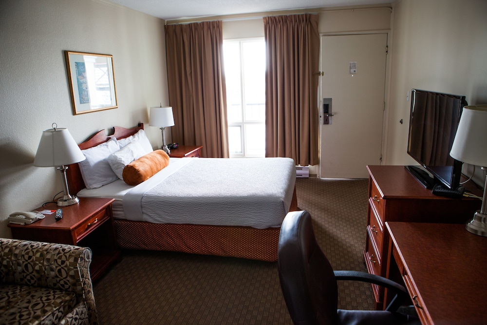 Premium Room, 1 Queen Bed - Photo 11