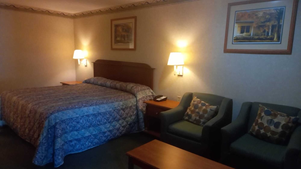 Basic Single Room photo 2