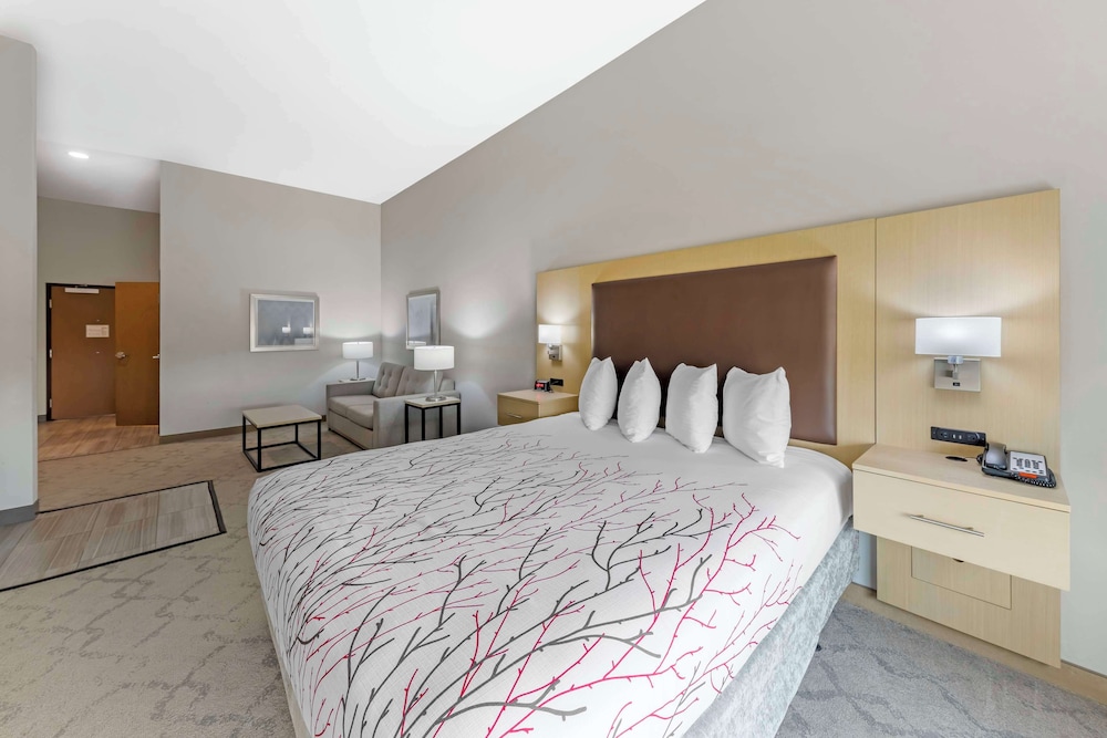 Suite, 1 King Bed, Accessible, Refrigerator & Microwave (with Sofabed) - Photo 2