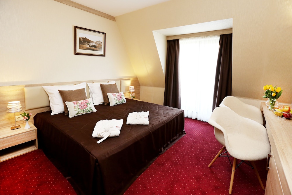 Deluxe Double Room photo 1