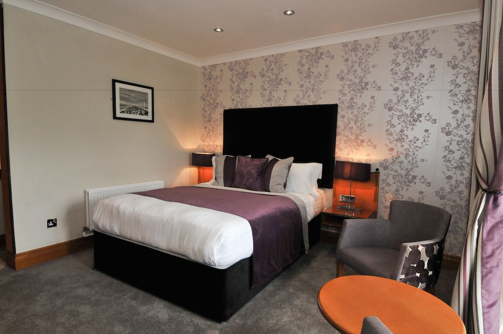 Comfort Double Room, 1 King Bed photo 2