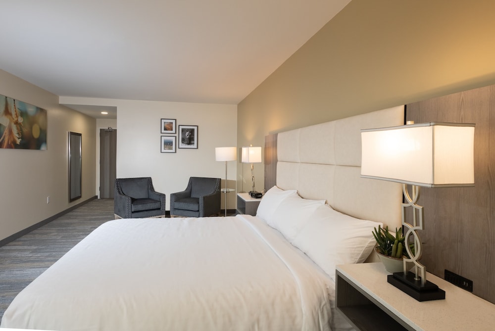 Superior Room, 1 King Bed, Non Smoking photo 1