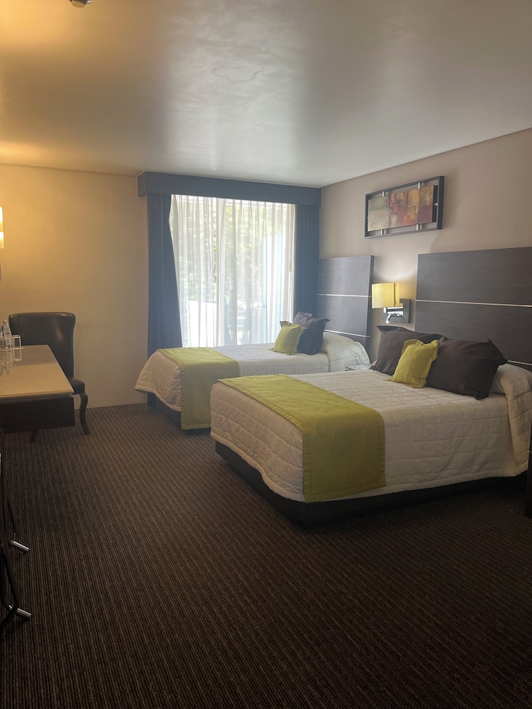 Twin Room - Disability Access photo 1