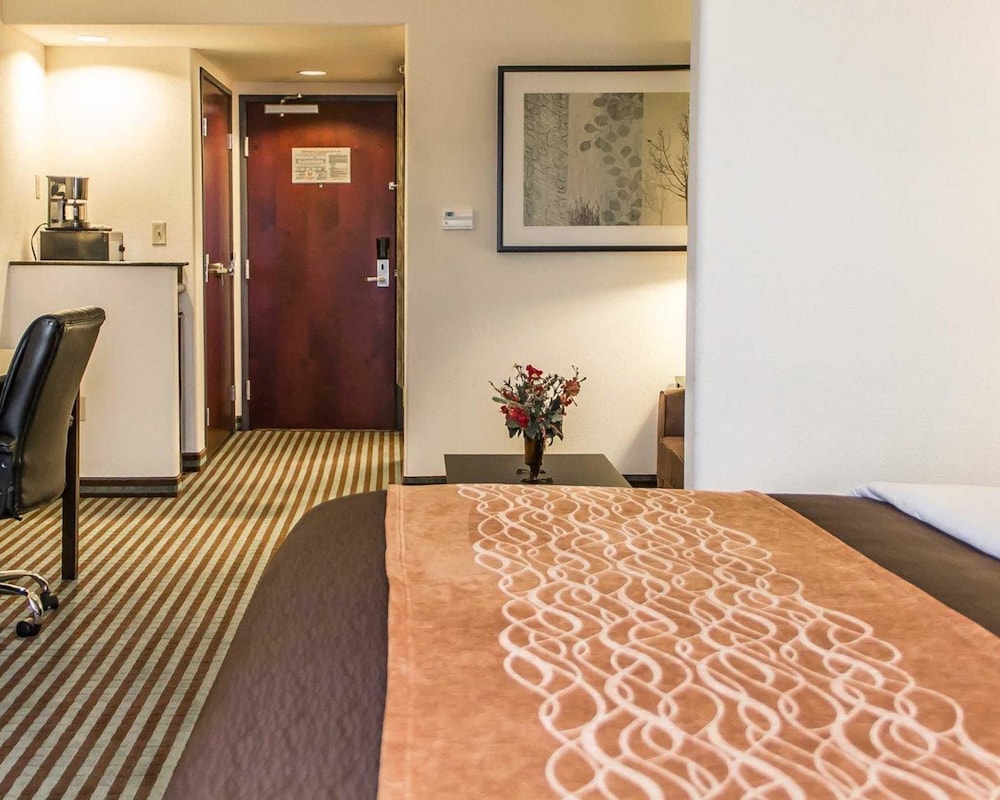 Suite, Non Smoking - Photo 9