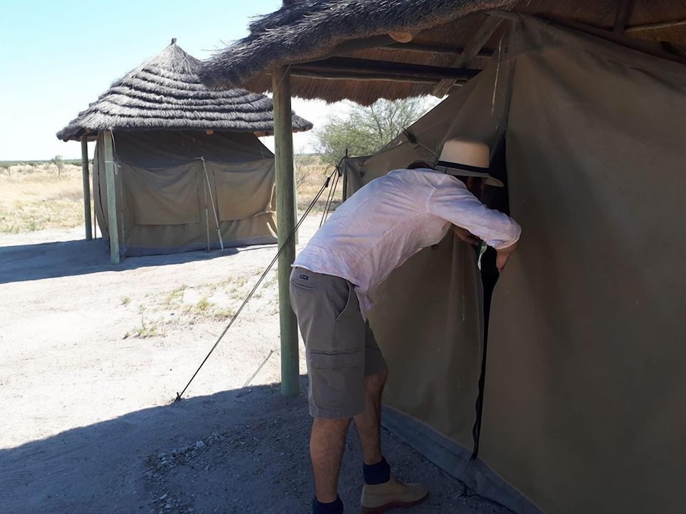 Basic Tent photo 2
