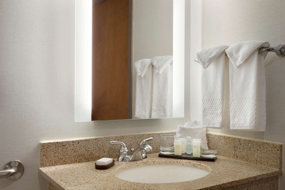 Suite, 1 King Bed, Accessible, Bathtub (Mobility) - Photo 7