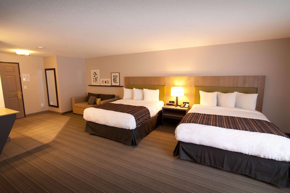 Studio Suite, Multiple Beds, Non Smoking photo 3
