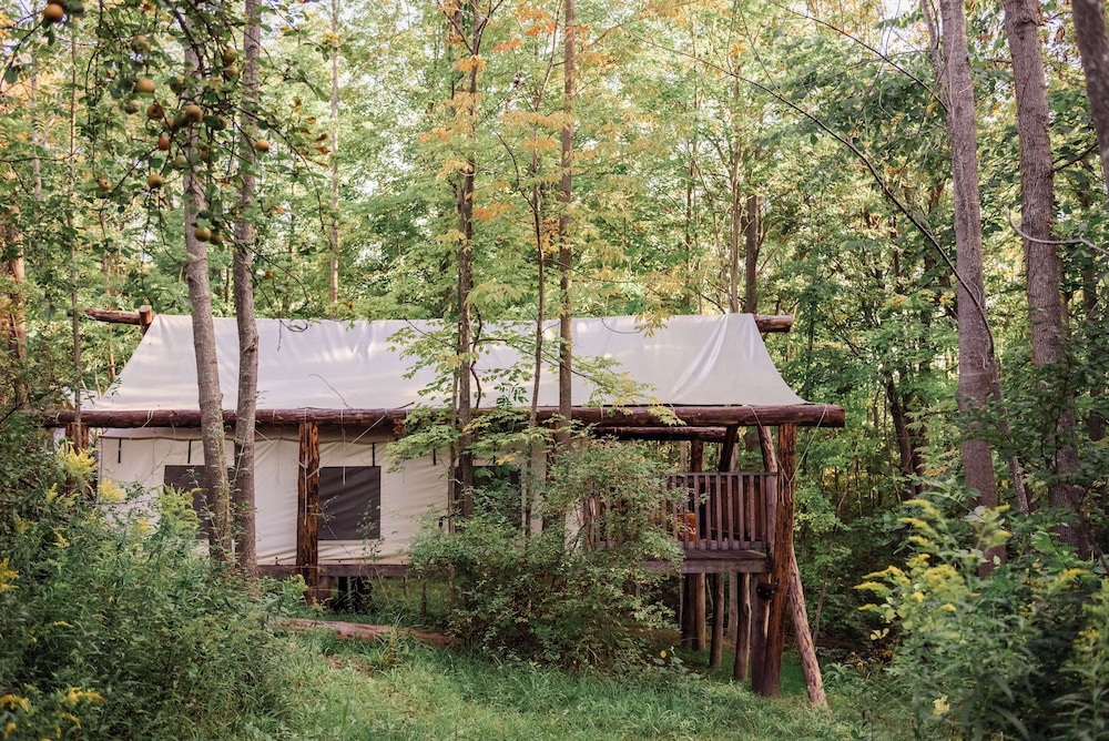 Electric King tent photo 2