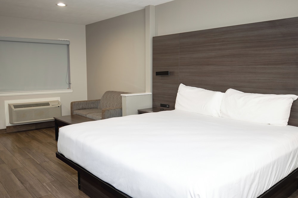 Room, 1 King Bed, Non Smoking photo 3