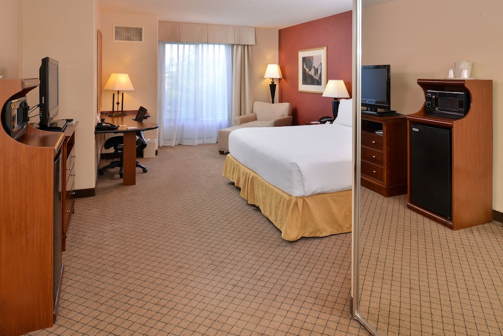 Standard Room, 1 King Bed, Roll-in Shower, Non Smoking (Communications Accessible) - Photo 3