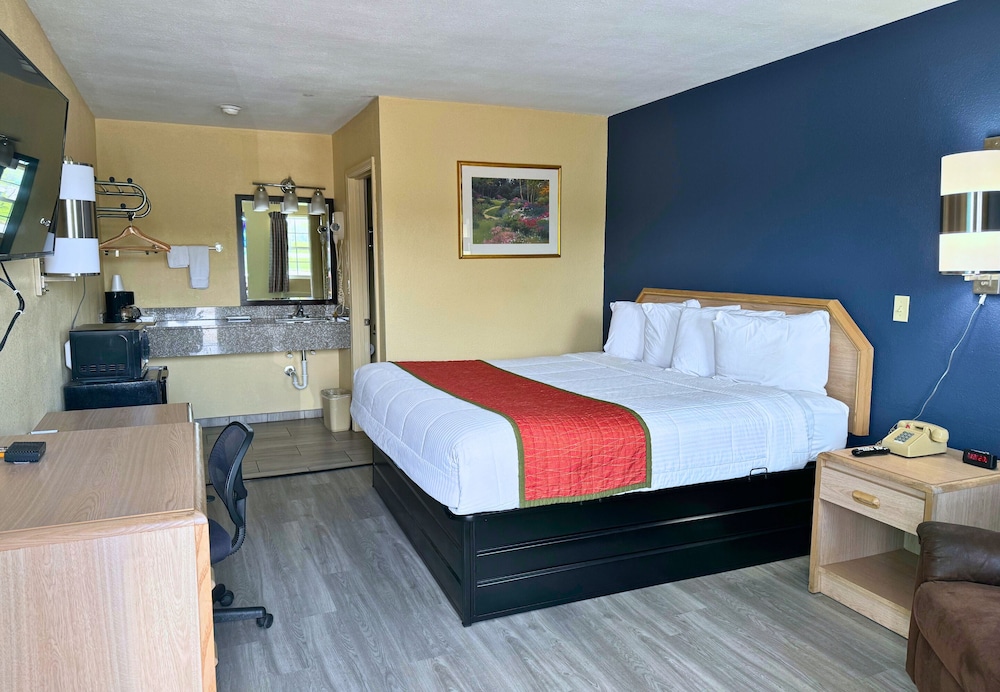 Room, 1 King Bed photo 1