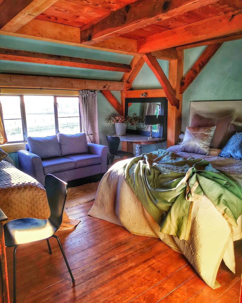 The Sunny Room photo 1