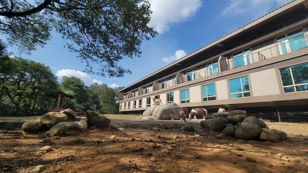 Congo Sky Room - Photo 4