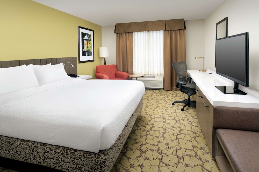Room, 1 King Bed, Accessible (Roll In Shower) - Photo 4