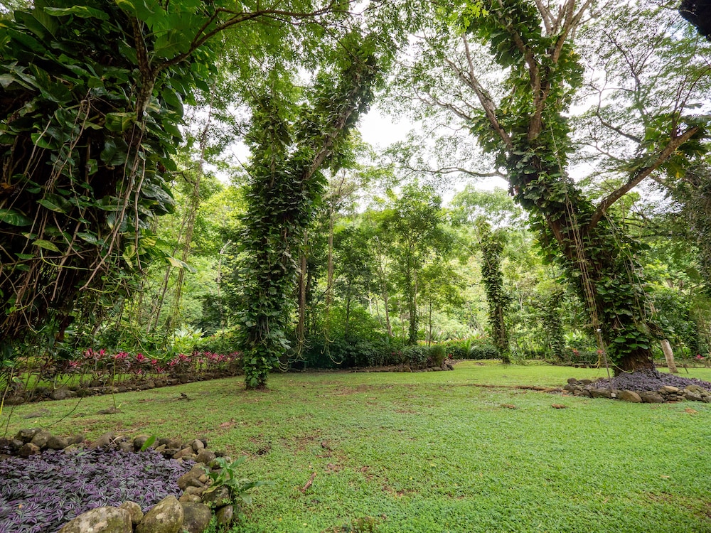 Estándar Queen, Mountain View photo 2