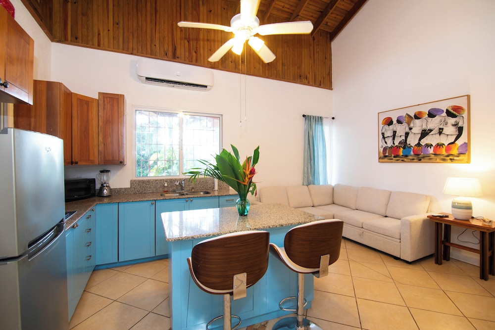 Iguana Apartment photo 1