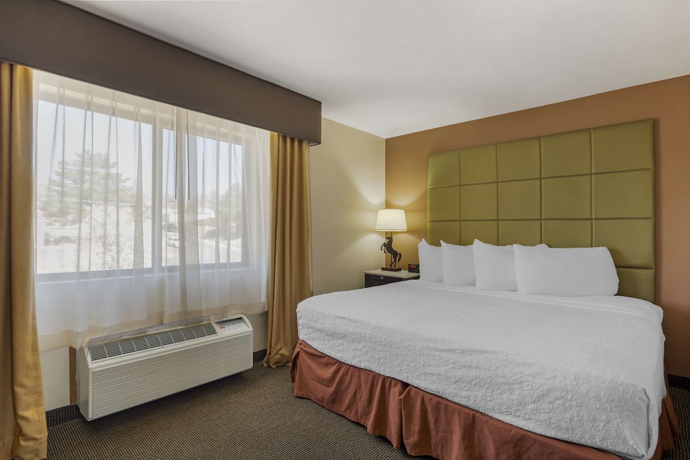 Executive Suite, 1 King Bed, Non Smoking, Refrigerator & Microwave - Photo 1