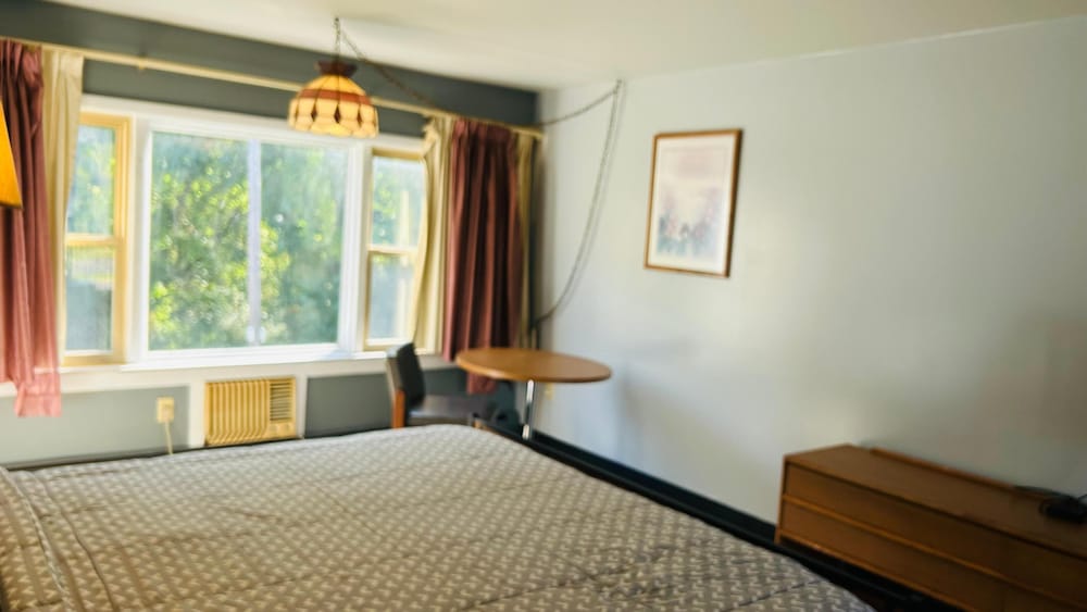 Room, 1 King Bed, Non Smoking, Kitchenette photo 3