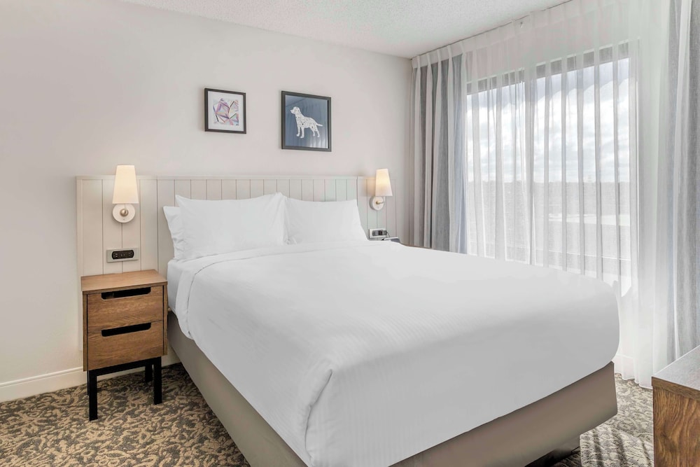 Suite, 1 Queen Bed with Sofa bed, Accessible (Hearing One Bedroom)