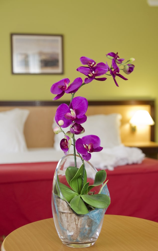 Double or Twin Room, Garden View photo 2