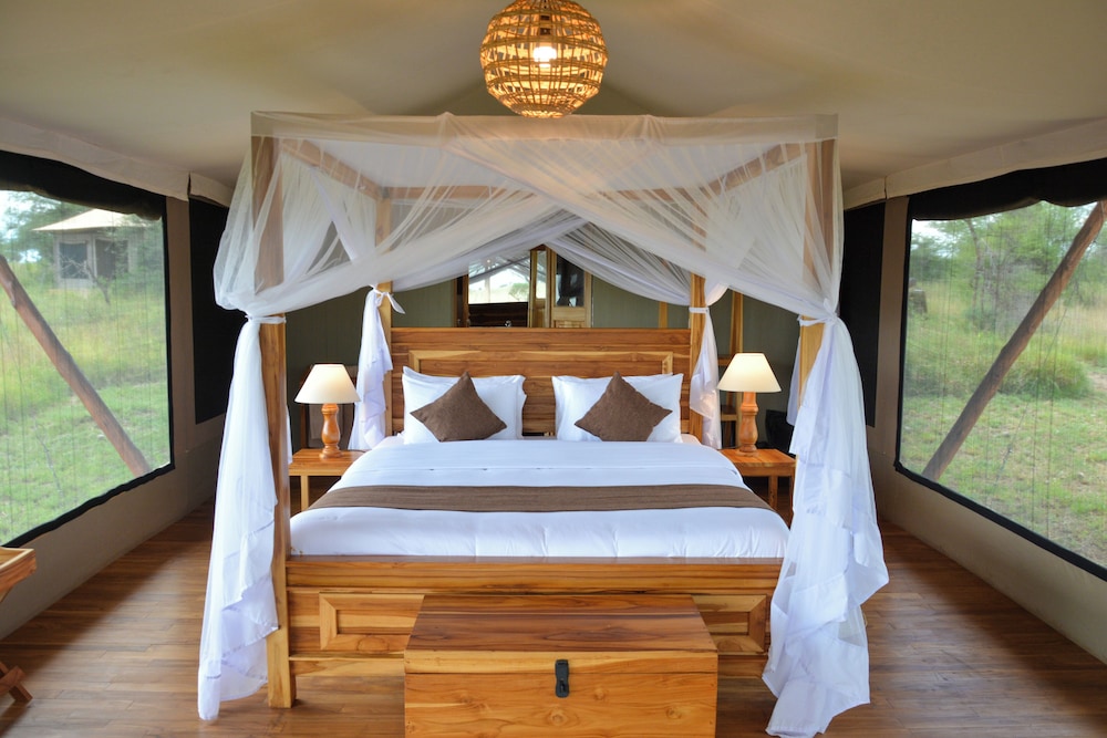 Deluxe Double or Twin Room, Park View