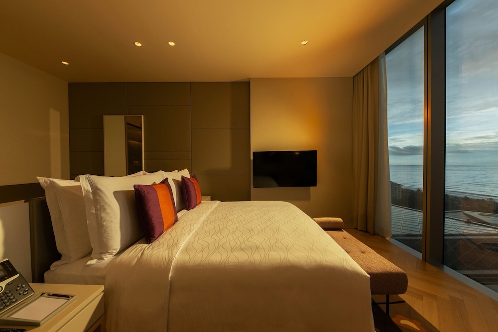 Premium Suite