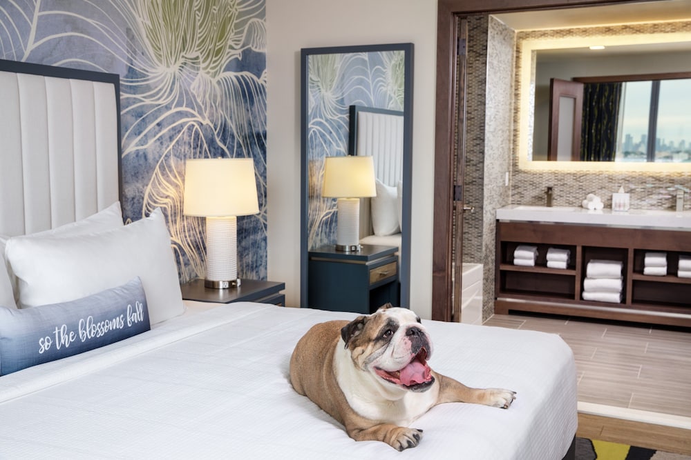 Suite, 1 Bedroom - Photo 2