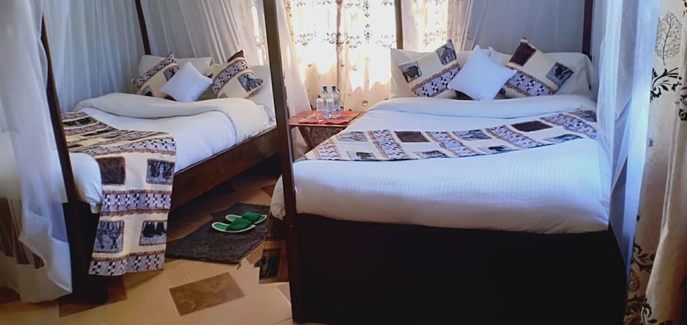 Twin Room photo 1