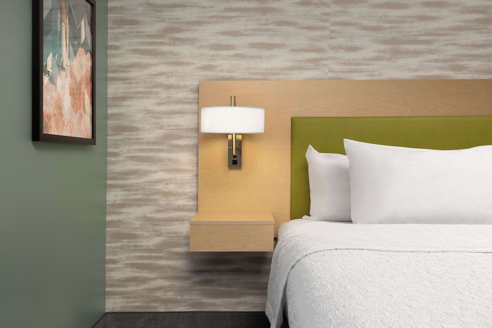 Suite, 1 King Bed, Accessible (Roll-in Shower) photo 1
