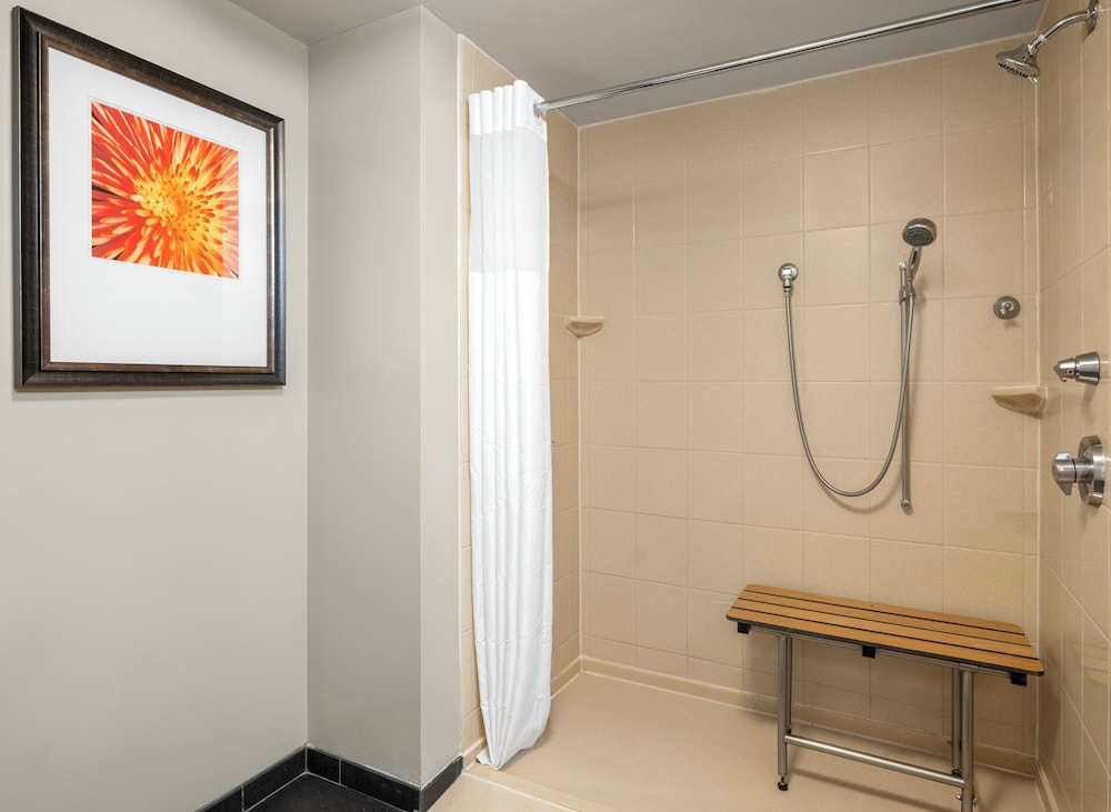 Suite, 1 Bedroom, Roll-in Shower, Kitchen (Communications Accessible) photo 3