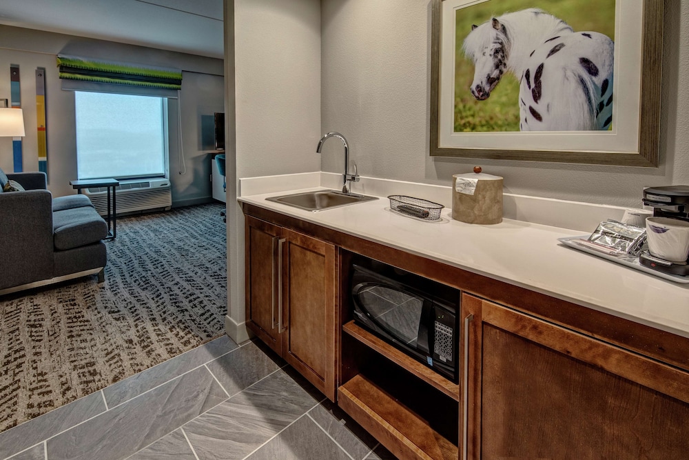 Suite, 1 King Bed, Refrigerator & Microwave (Wet bar) photo 3