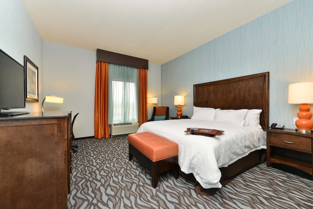 Room, 1 King Bed, Accessible photo 1