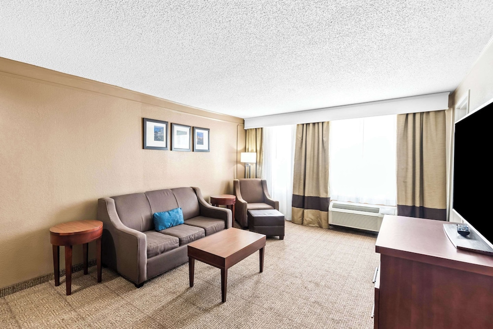 Suite, 1 King Bed with Sofa bed, Non Smoking (Efficiency) photo 3